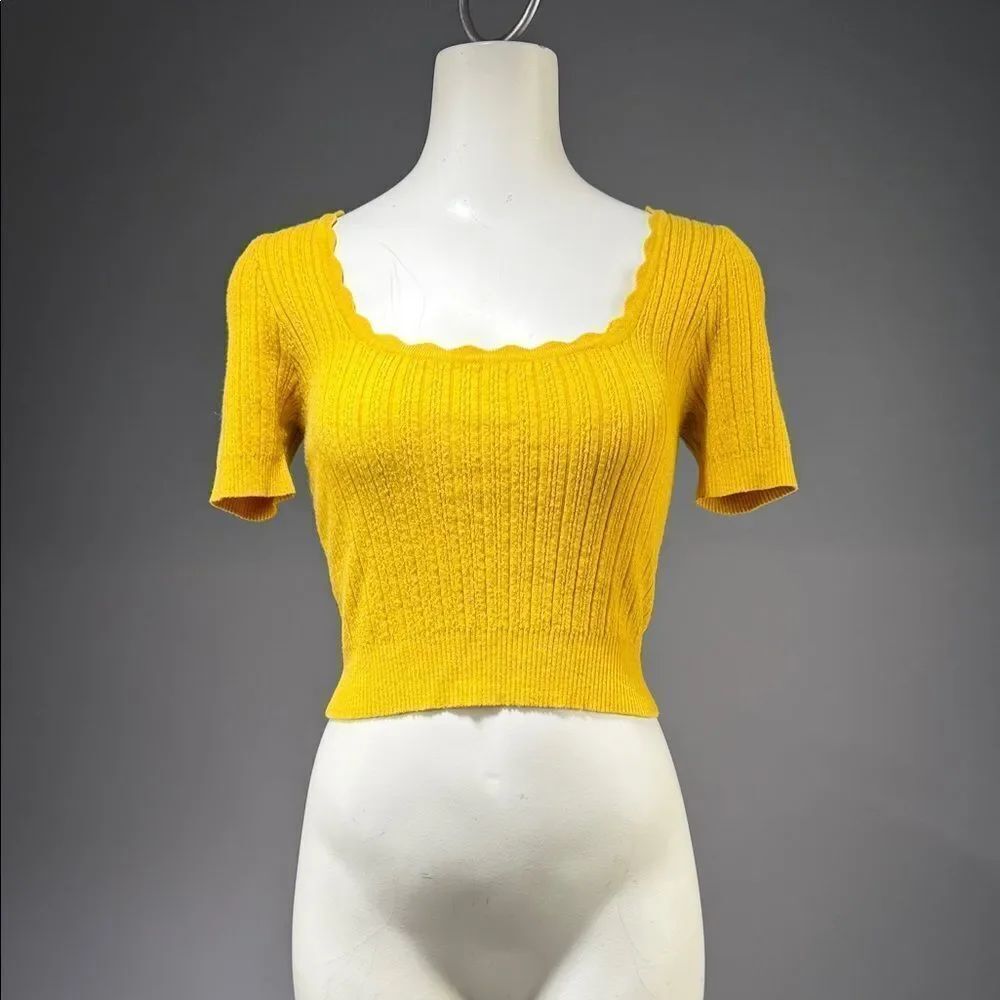 Vibrant Yellow Ribbed Crop Top (rack2)